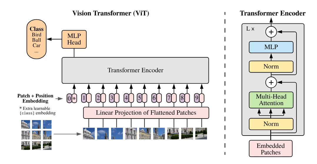 Figure 3: Overview of the Vision Transformer architecture